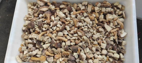 2025 New Crop high quality frozen mixed mushrooms Frozen
