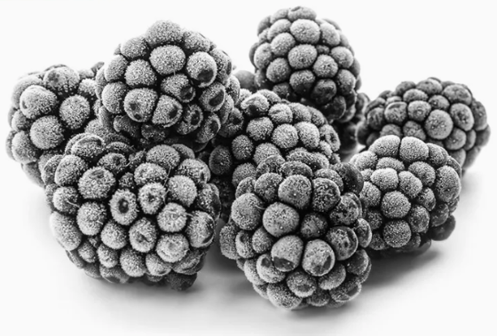 IQF Frozen Fresh Blackberry Frozen Fruit Whole 10kgx1/carton 1kg*10/carton pallet tote HACCP/ISO/KOSHER/BRC