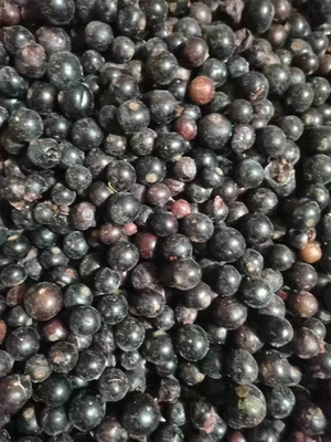 Delicious Frozen Fruit 100% Black Currant for Your s Identity