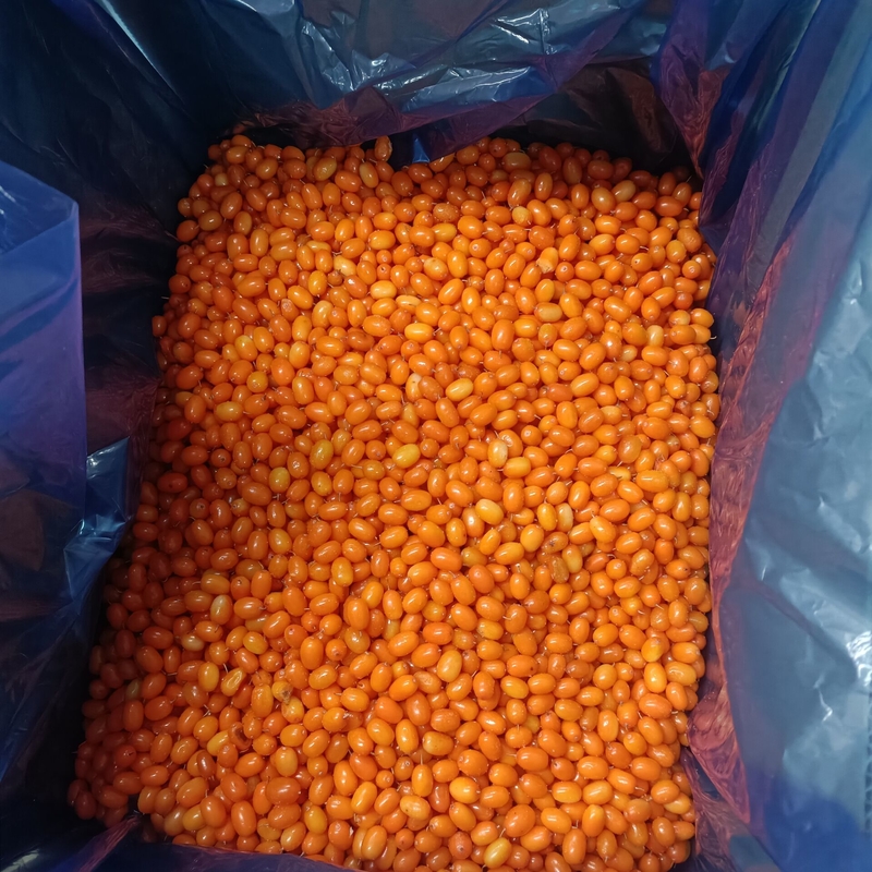 Top of Frozen Fruit IQF Sea buckthorn 100% Natural No GMO BRC/Halal/Kosher Certified 24 Months Shelf Life 10kg per Case