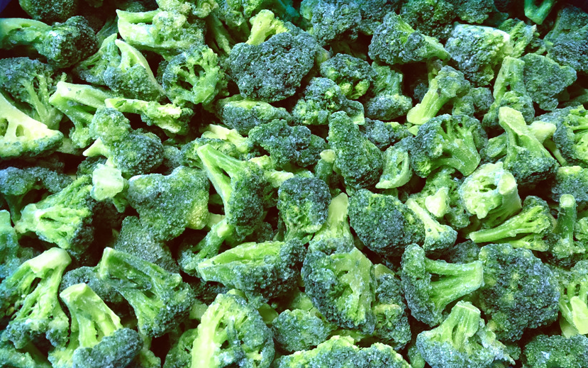 Whosale High Quality Frozen Broccoli Fresh-Picked in Bright Colours for Cooking