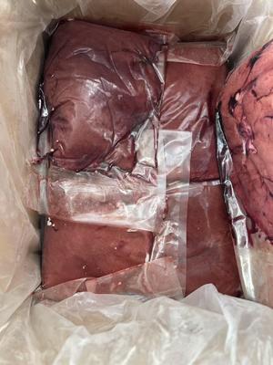 저렴한 가격 최고 품질 저지방 깨끗한 할랄 인증 냉동 양 간