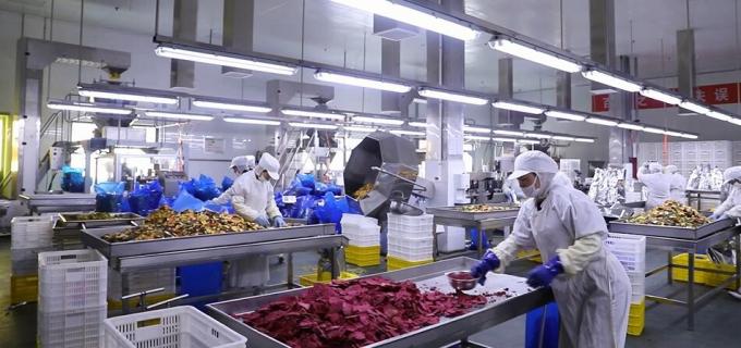 고품질 냉동 라즈베리 대량 냉동 라즈베리 대량 포장 과일 9