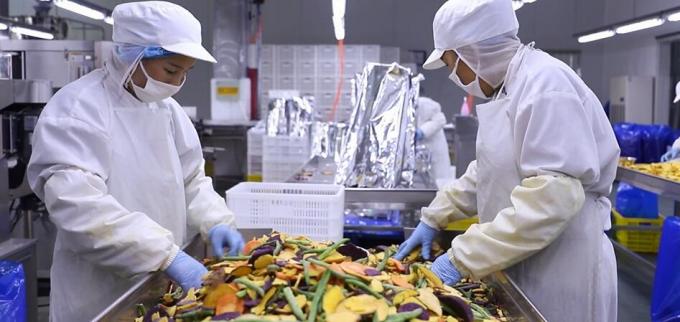 고품질 냉동 라즈베리 대량 냉동 라즈베리 대량 포장 과일 10