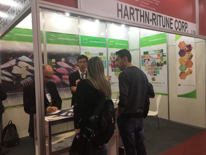 고품질 냉동 라즈베리 대량 냉동 라즈베리 대량 포장 과일 19