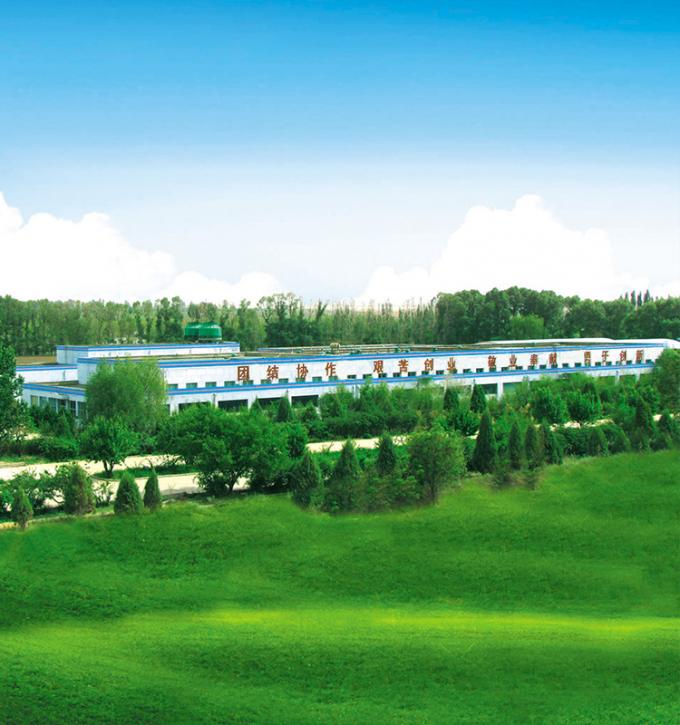 시노차름 4성 제품 BRC-A 신선한 노란색 피치 10x10mm 냉동 된 덩어리 과일 큐브 IQF 노란색 피치 덩어리 8