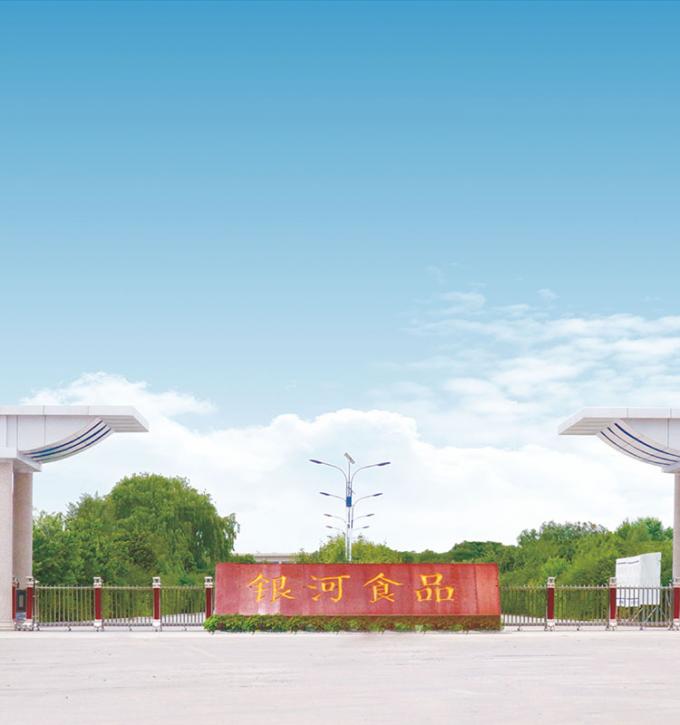 시노차름 4성 제품 BRC-A 신선한 노란색 피치 10x10mm 냉동 된 덩어리 과일 큐브 IQF 노란색 피치 덩어리 9