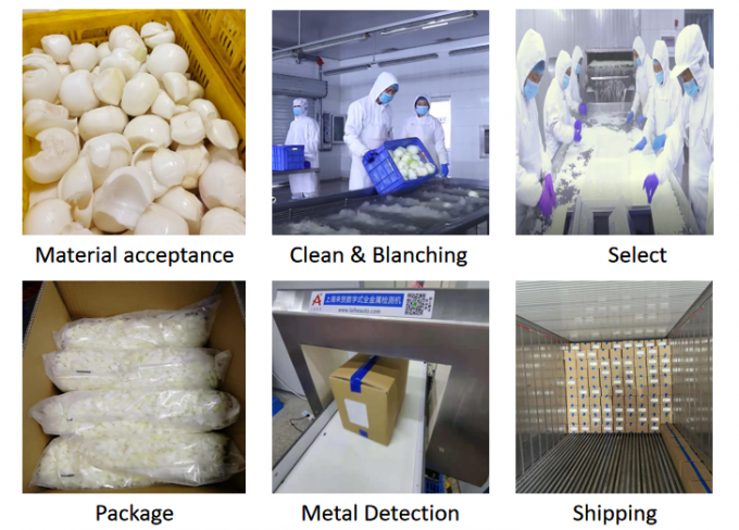 대량 도매 Brc 인증 Iqf 냉동 양파 다이스 백색 양파 0
