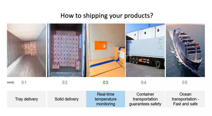 중국산 냉동 이크프 바나나 고품질의 수출용으로 썰어진 뜨거운 제품 2