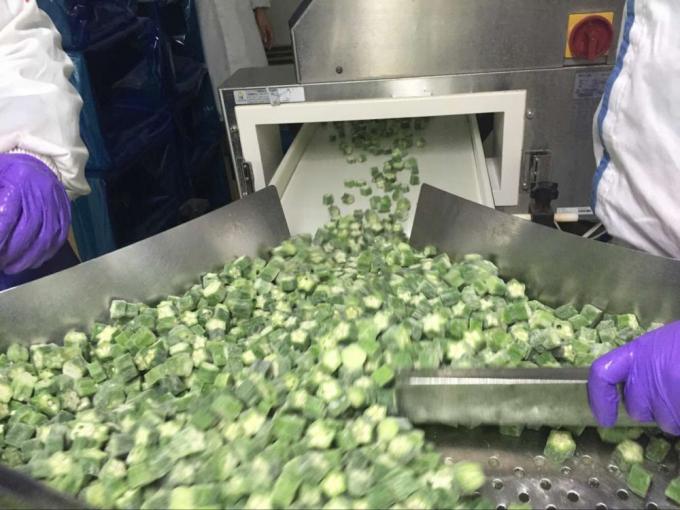 중국 공급 최고의 품질 좋은 가격 Iqf 냉동 야채 통 오크라 검보 4