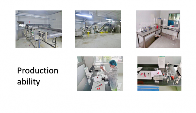 중국 공급 최고의 품질 좋은 가격 Iqf 냉동 야채 통 오크라 검보 7