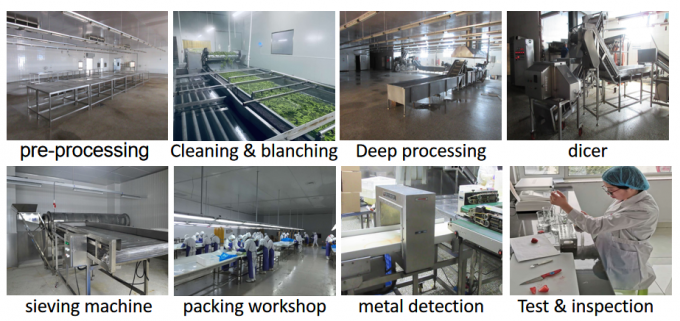중국 공급 최고의 품질 좋은 가격 Iqf 냉동 야채 통 오크라 검보 8
