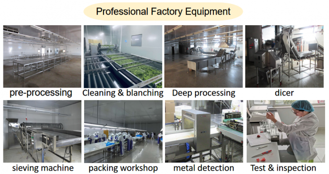 제조사 공장 가격 IQF 고품질 신선식품 냉동 라즈베리 세르비아 수출 6