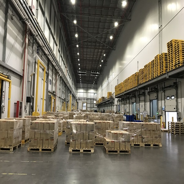 저렴한 가격 최고 품질 저지방 깨끗한 할랄 인증 냉동 양 간 1