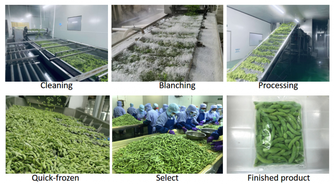 중국 공급자 소아 콩 IQF 냉동 에다마메 껍질 4