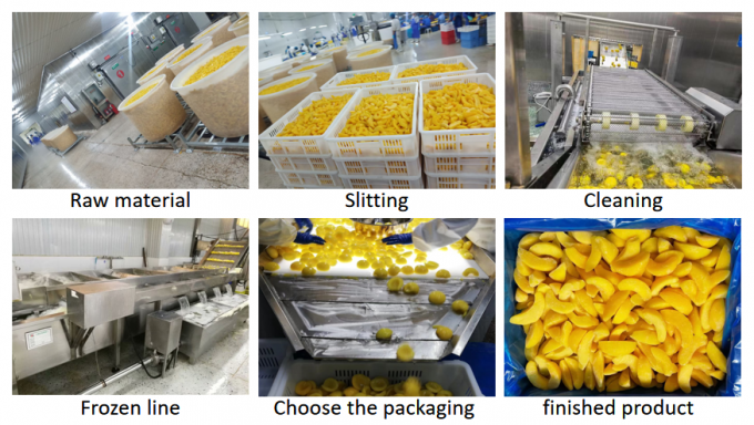 최고 품질의 10KG 대용량 냉동 노란 피치 반 - 통조림 및 수출 사용에 이상적입니다 3