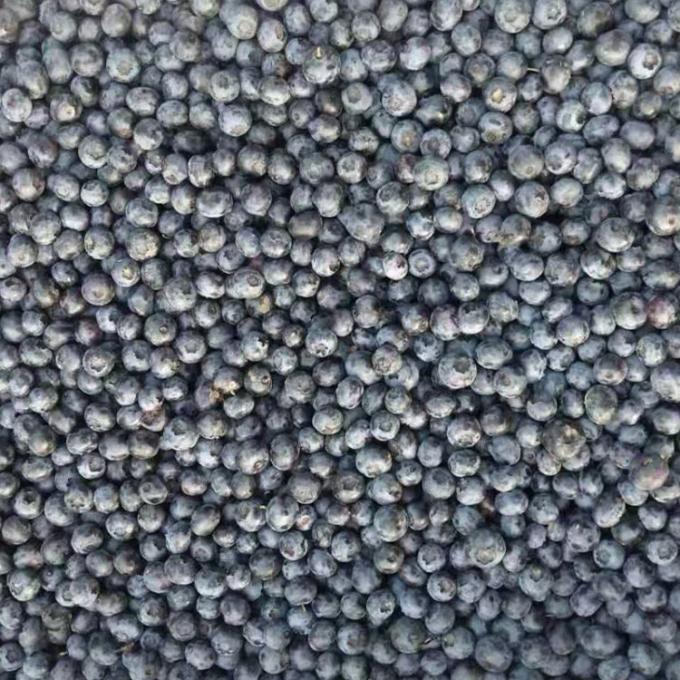 IQF 냉동 전체 블루베리 프리미엄 베이킹 및 스무디 토핑 1