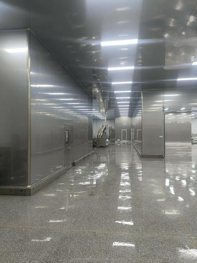 핫 프로덕츠 공장 가격 화이트 컬러 BRC HACCP 인증 냉동 야채 IQF 유기농 마늘 5