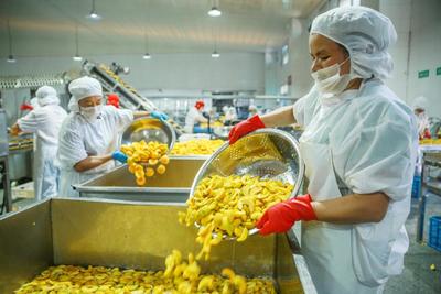 IQF 유기농 황도 반달 냉동 과일 달콤한 맛 대량 포장 보존수 펄프 통째 큐브 다이스 반달형 가능 8