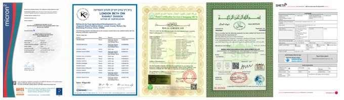 유기농 냉동 씨벅톤 열매 (도매) 5