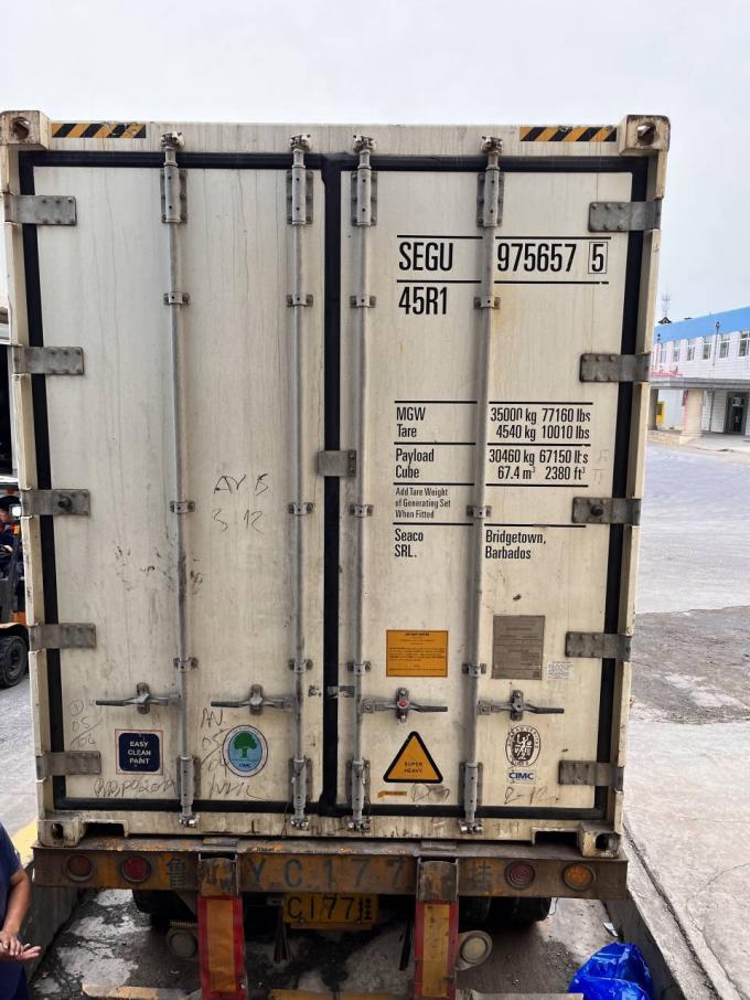 시노참 HACCP OEM 브랜드 공장 가격 피트리스 도매 IQF 냉동 신선한 사우어 체리 과일 (중국산) 디저트용 5