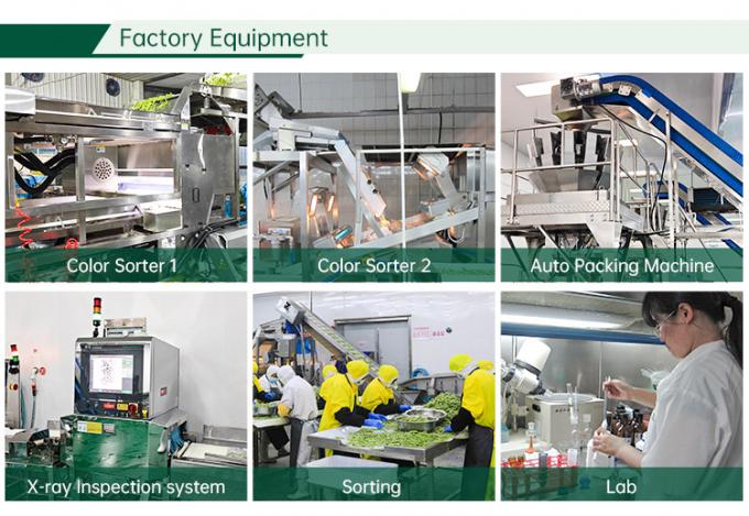 할랄 인증 냉동 야채 공장 IQF 토마토 다이스 10mm 중국산 냉동 다이스 토마토 2
