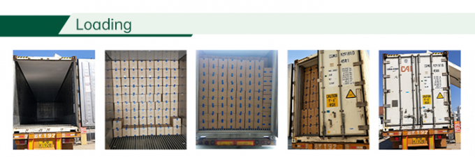 할랄 인증 냉동 야채 공장 IQF 토마토 다이스 10mm 중국산 냉동 다이스 토마토 4