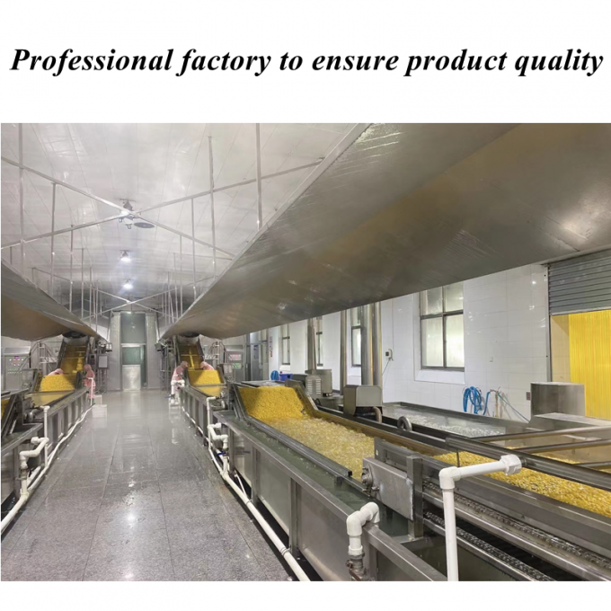 고품질 경쟁력 있는 가격 냉동 옥수수 달콤한 옥수수 핵 유기농 비 GMO 대량 포장 1