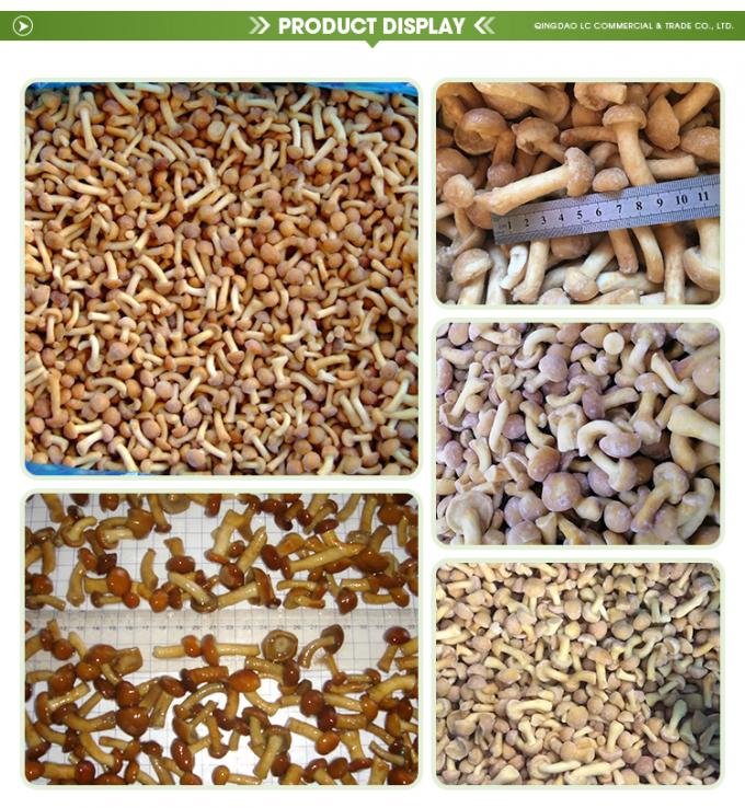 야생 재배 유기농 버섯 건강 천연 영양 신선 통째로 냉동 버섯 IQF 냉동 나메코 1