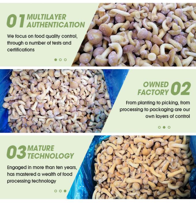 야생 재배 유기농 버섯 건강 천연 영양 신선 통째로 냉동 버섯 IQF 냉동 나메코 3