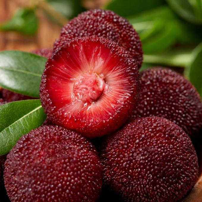 냉동 과일 IQF 붉은 둥근 양메이 베이베리 공장 가격 대량 냉동 백스베리 2