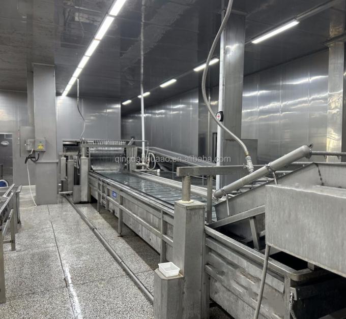 IQF 4개의 냉동 채소 녹색 당근과 달콤한 옥수수 9