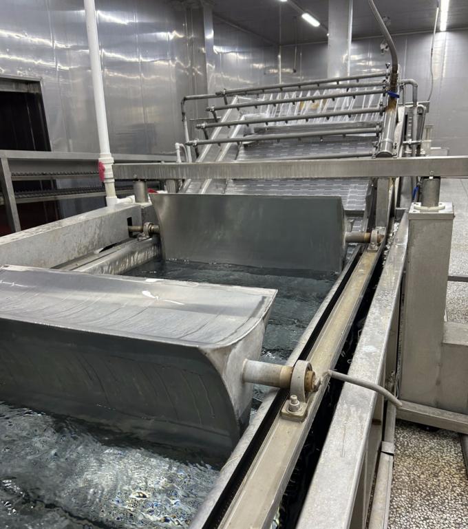 IQF 4개의 냉동 채소 녹색 당근과 달콤한 옥수수 12