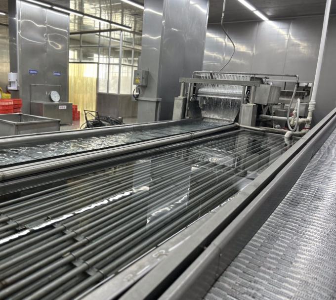 IQF 4개의 냉동 채소 녹색 당근과 달콤한 옥수수 13