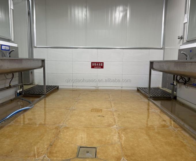 IQF 4개의 냉동 채소 녹색 당근과 달콤한 옥수수 14