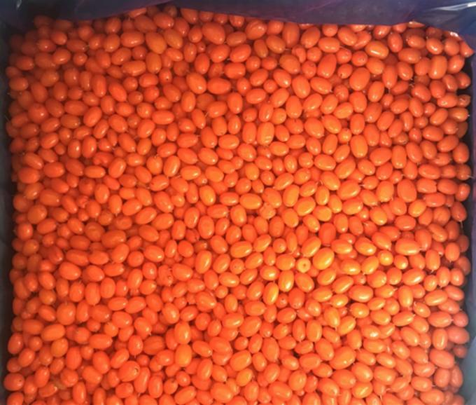 원산지 중국 IQF 신선한 냉동 야생 해상 벅스톤 1등급 해양 벅스톤 랭곤베리 라즈베리, 블루베리 혼합 베리 0