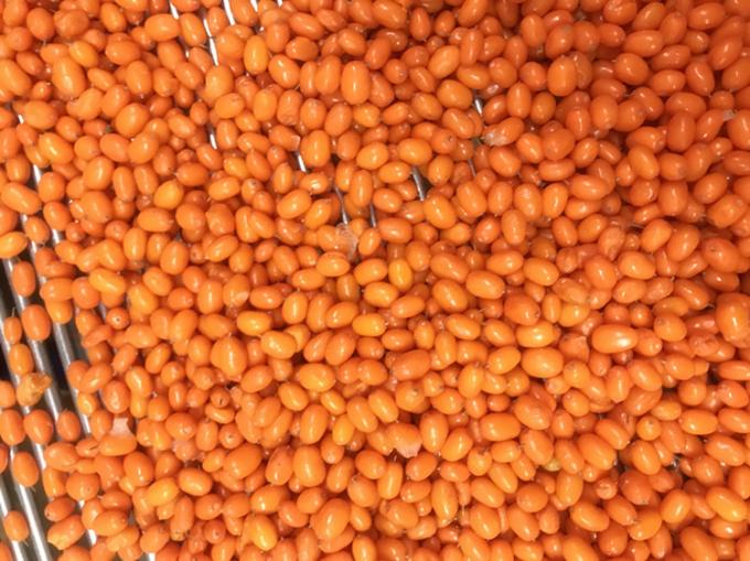 원산지 중국 IQF 신선한 냉동 야생 해상 벅스톤 1등급 해양 벅스톤 랭곤베리 라즈베리, 블루베리 혼합 베리 2