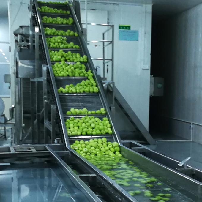 키위 과일 냉동 과일 냉동 키위 볼 품질 자연 6