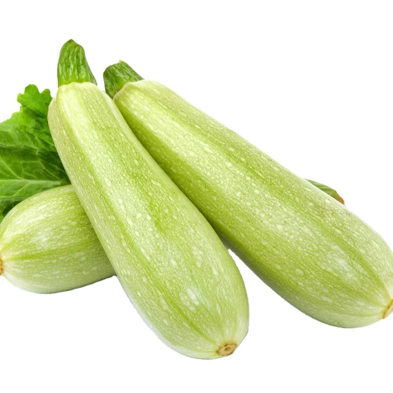 식품 사업에 필요한 냉동 채소 음식 서비스 필요를 위해 완벽한 zucchini 2