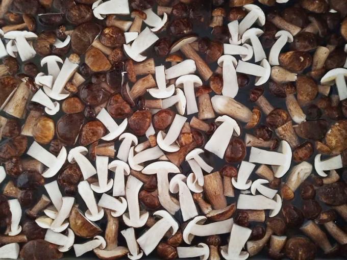 냉동 버섯 IQF BOLETUS EDULIS 등급 A 24개월 유효기간 ISO HACCP BRC KOSHER HALAL 인증 10톤 MOQ 0