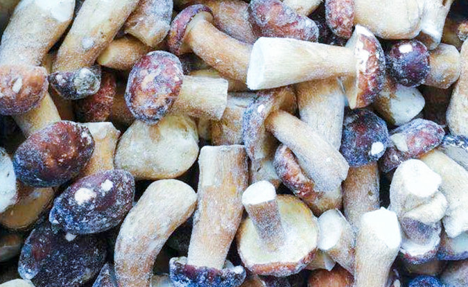냉동 버섯 IQF BOLETUS EDULIS 등급 A 24개월 유효기간 ISO HACCP BRC KOSHER HALAL 인증 10톤 MOQ 2