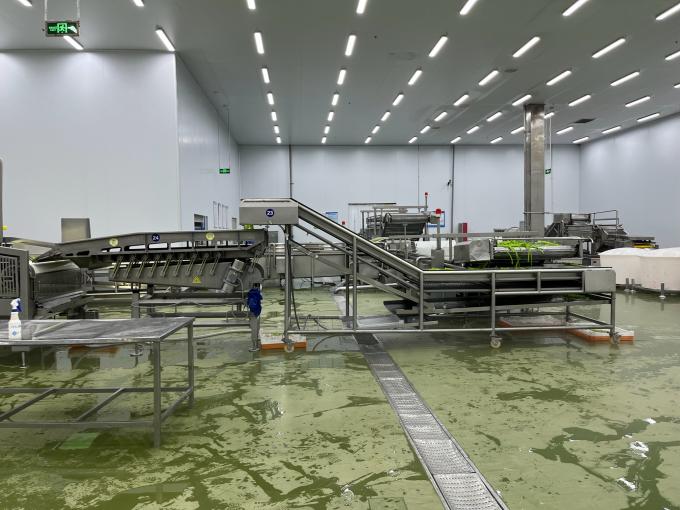 고품질 신선 냉동 라즈베리, 주스, 디저트, 밀크셰이크를 위해 달콤한 맛을 위해 손으로 수확 9