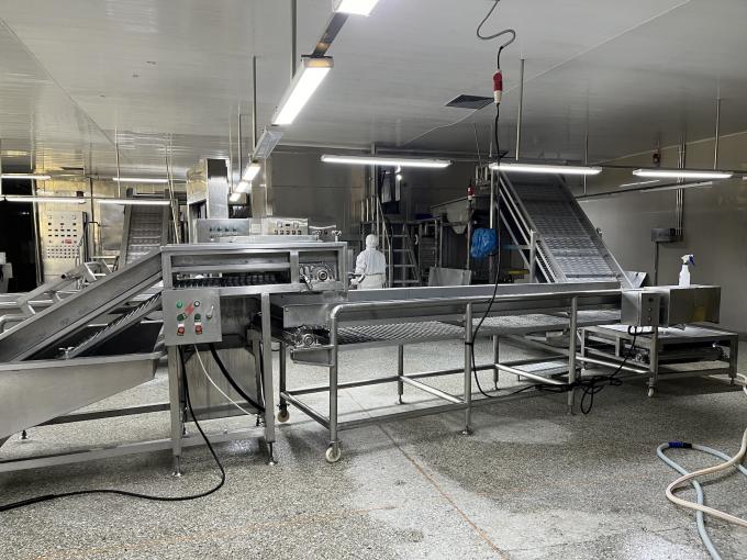 고품질 신선 냉동 라즈베리, 주스, 디저트, 밀크셰이크를 위해 달콤한 맛을 위해 손으로 수확 11