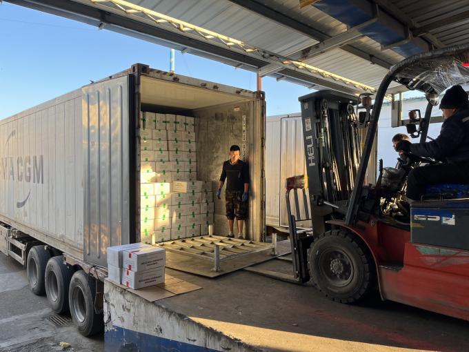 고품질 신선 냉동 라즈베리, 주스, 디저트, 밀크셰이크를 위해 달콤한 맛을 위해 손으로 수확 12