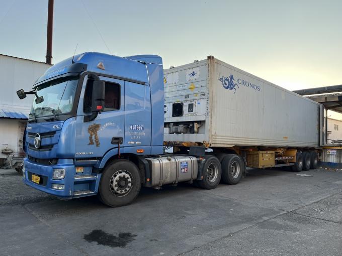 고품질 신선 냉동 라즈베리, 주스, 디저트, 밀크셰이크를 위해 달콤한 맛을 위해 손으로 수확 14