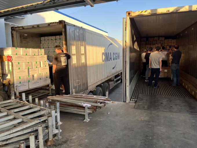 고품질 신선 냉동 라즈베리, 주스, 디저트, 밀크셰이크를 위해 달콤한 맛을 위해 손으로 수확 15