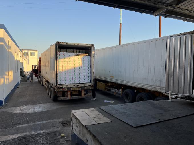 고품질 신선 냉동 라즈베리, 주스, 디저트, 밀크셰이크를 위해 달콤한 맛을 위해 손으로 수확 16