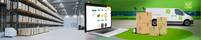 최고의 고품질 냉동 호스트리 버섯 소매 신작 IQF 호스트리 버섯 조각 8