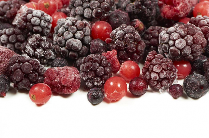 신선한 IQF 냉동 혼합 베리 블랙베리 딸기 라즈베리 블루베리 블랙베리 딸기 베리 스타일 1
