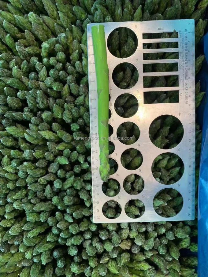 공장 인증 품질 제조 IQF 냉동 아스파라거스 6